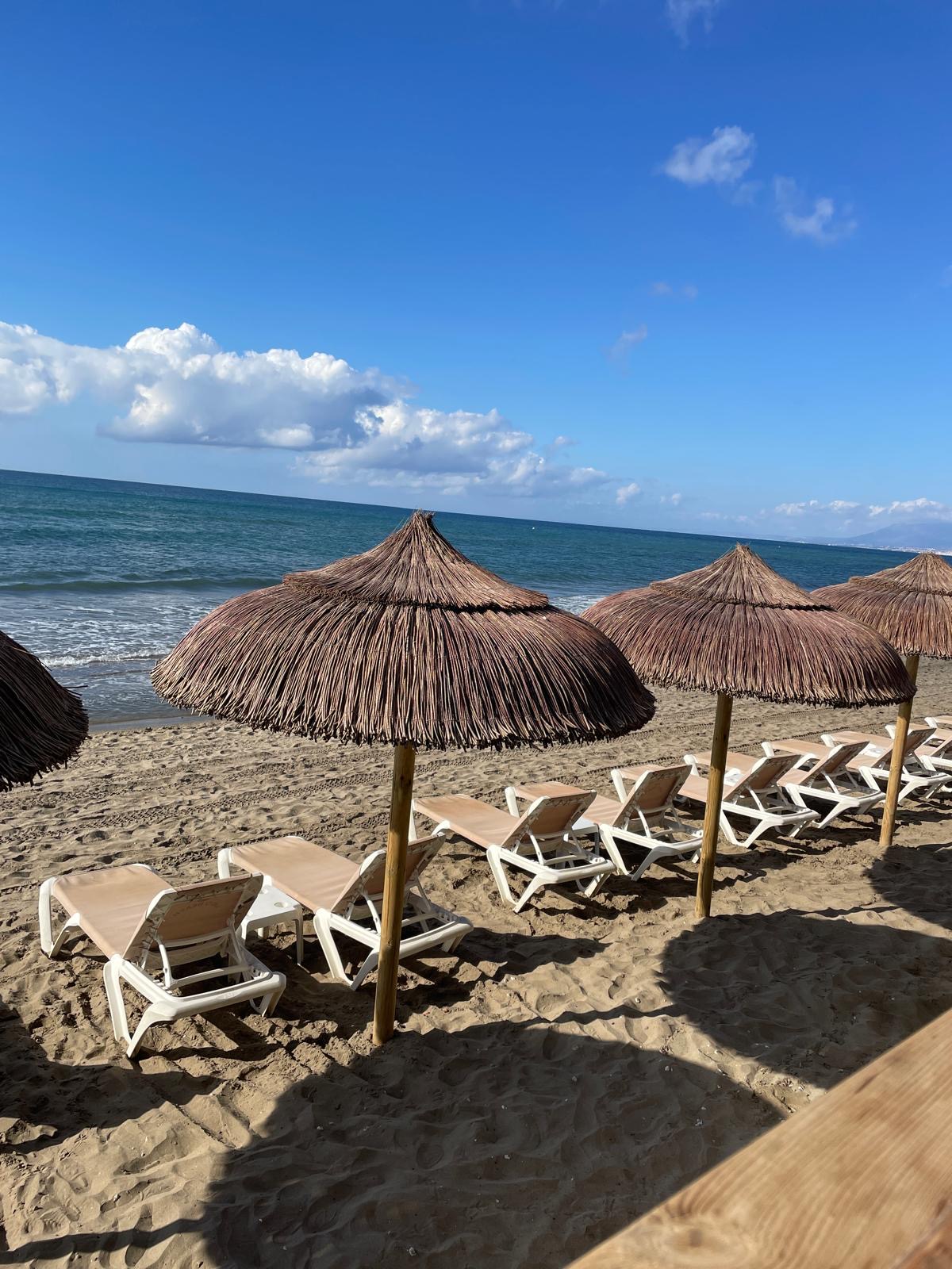 Ordinateur portable avec vue sur des palmiers, ambiance ensoleillée Costa del Sol.